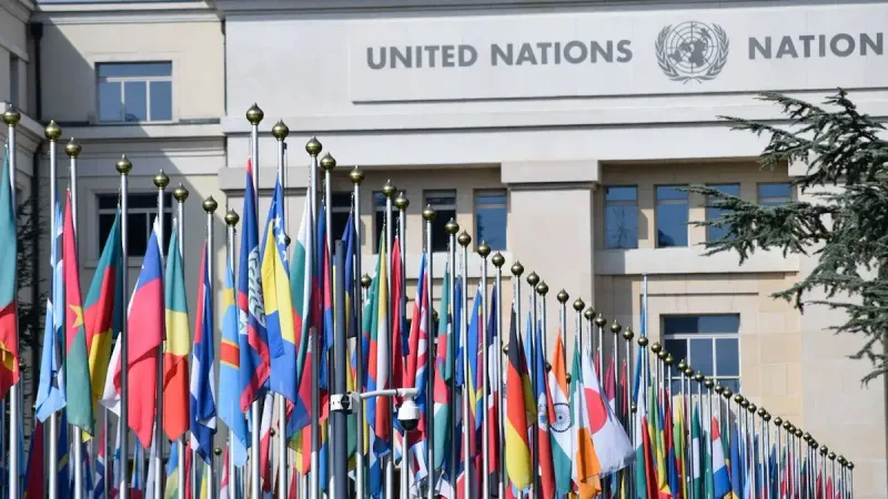 международная организация