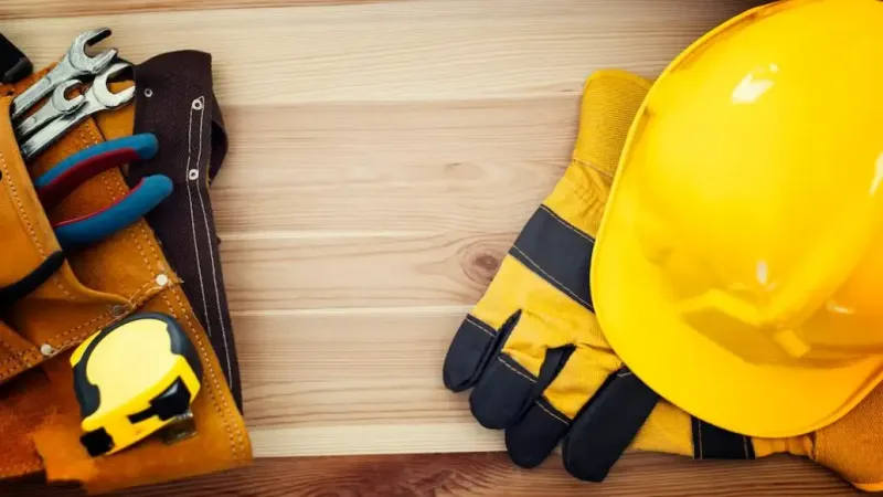 сфера занятости