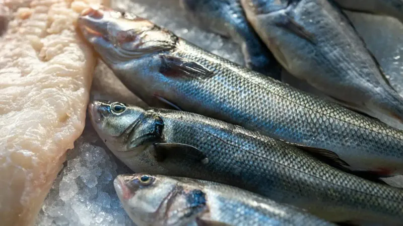 импорт морепродуктов