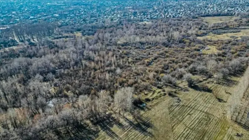 возврат земельного участка