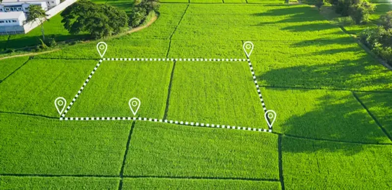 Антикор выявил системные проблемы в сфере земельных отношений