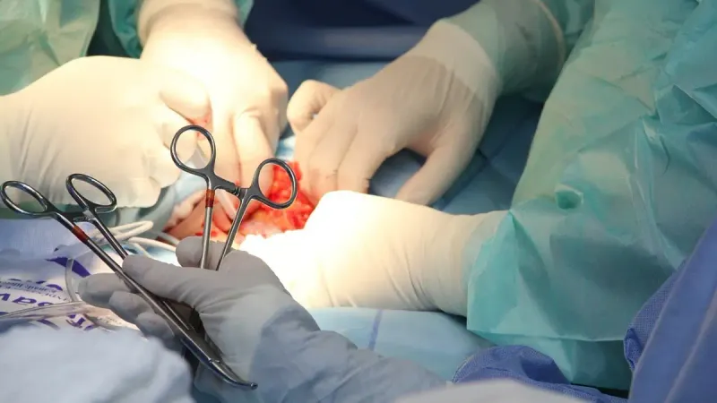 торговля органами