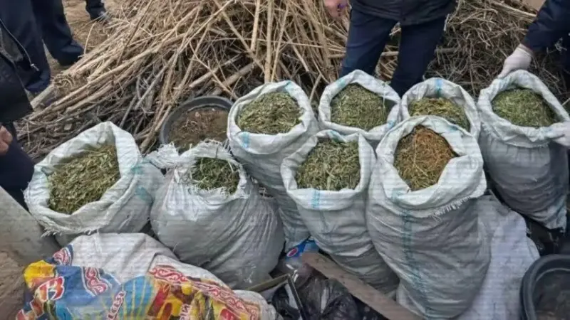 наркотическое вещество