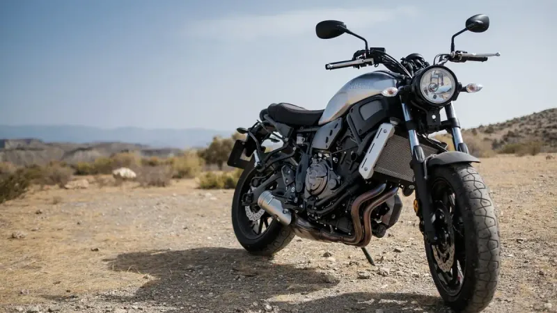 мототранспорт статистика