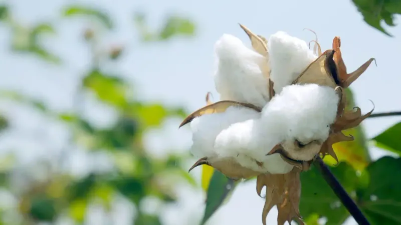 оплата труда