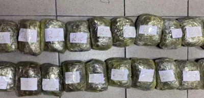 За май КНБ ликвидировал пять наркоканалов