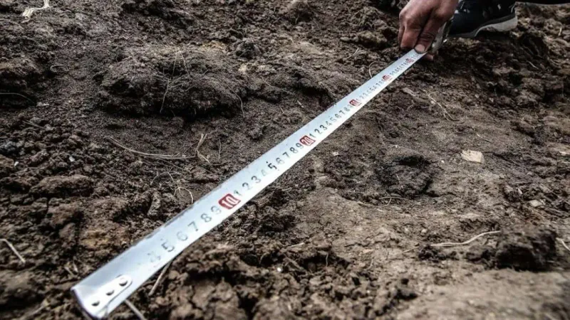 земельный участок