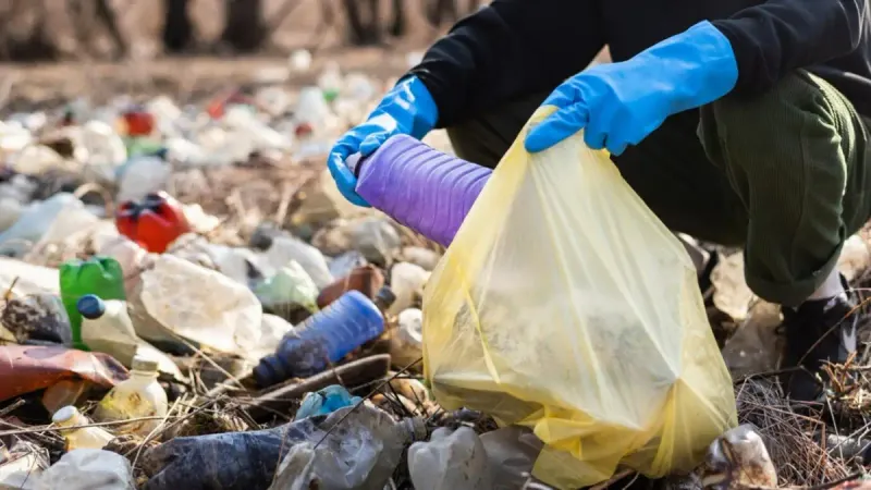 сортировка отходов