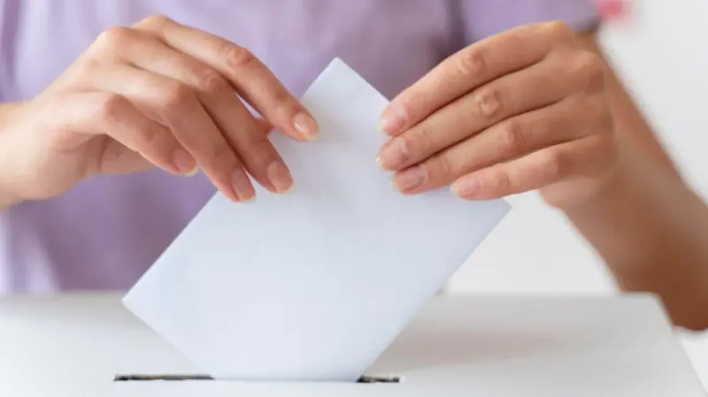 выборы голосование