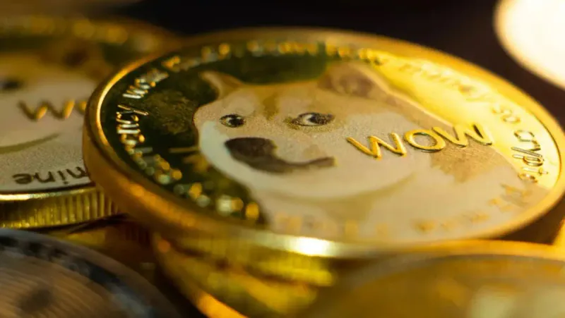 Dogecoin court