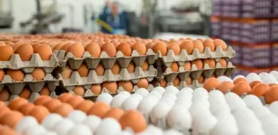 Монополия на рынке яиц