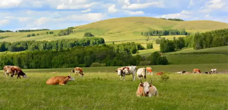 Прокуратура Алматинской области вернула 3500 га пастбищных земель