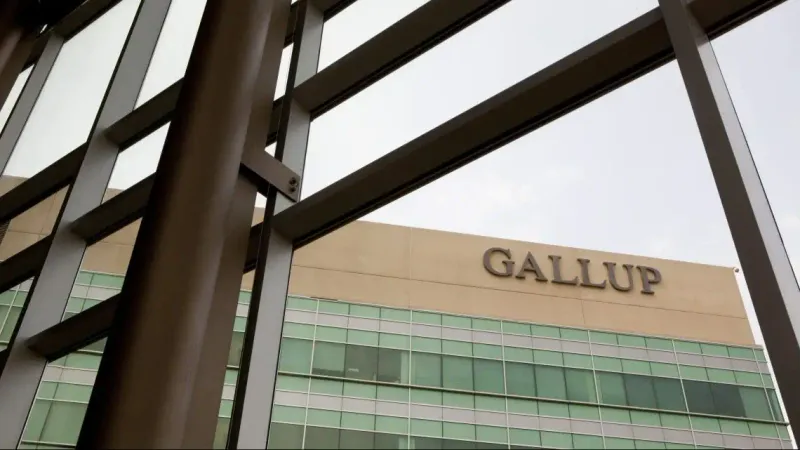 аналитическая компания