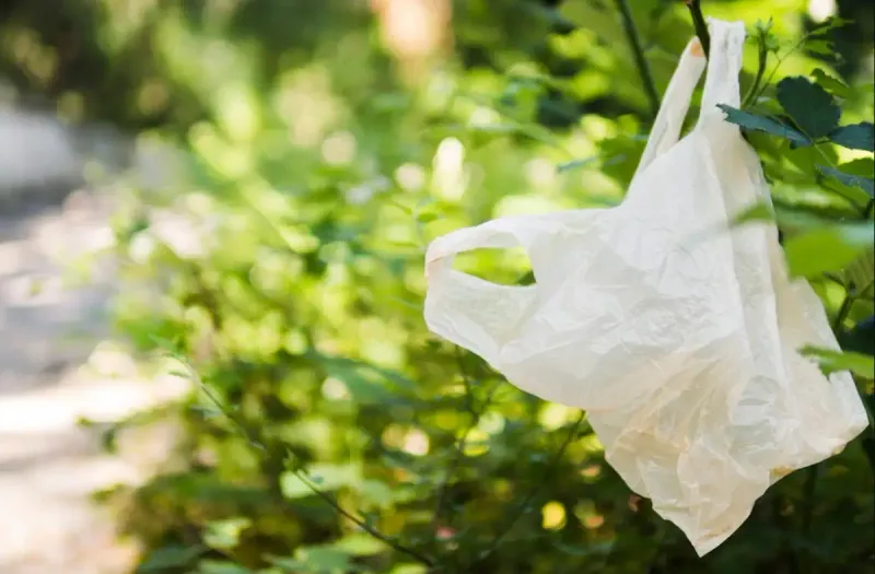 Kyrgyzstan parliament