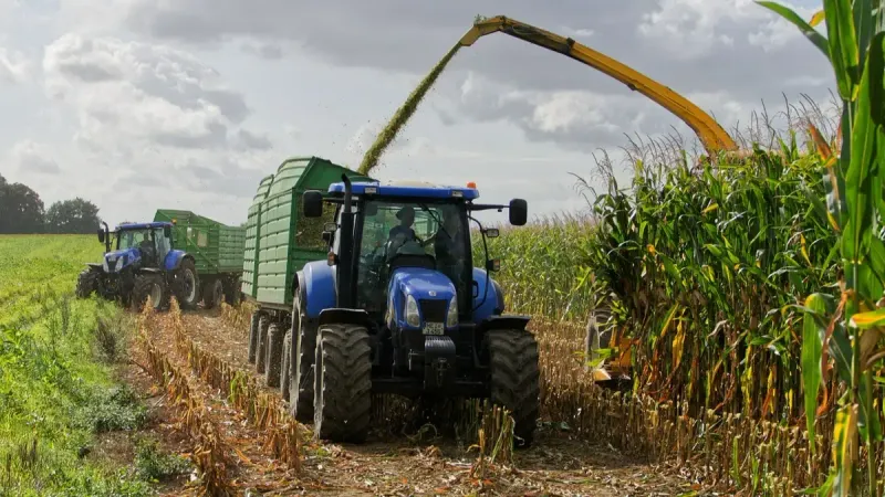 машиностроение статистика