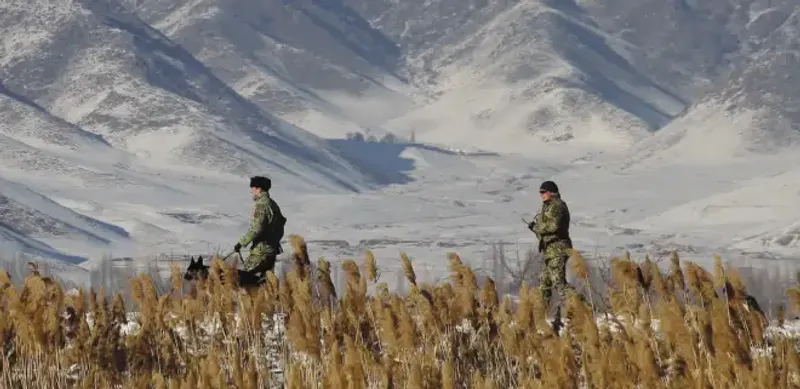 Наказание за незаконное пересечение границы хотят ужесточить в Казахстане