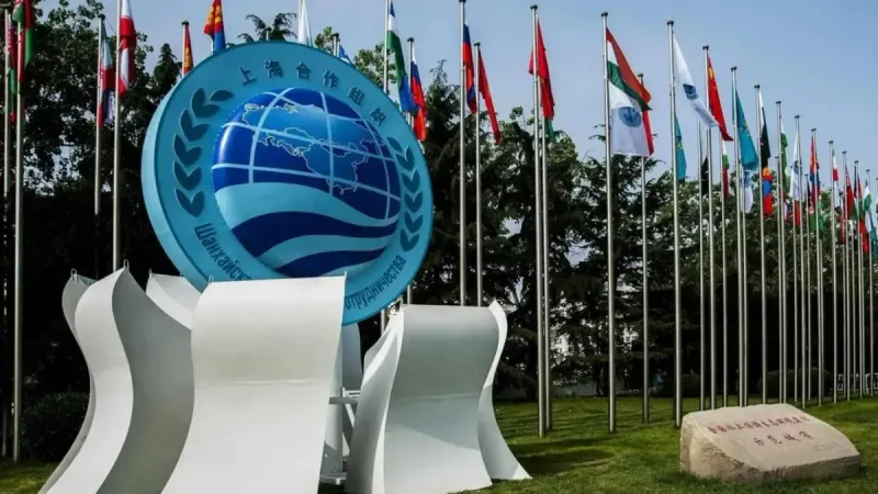 международная организация