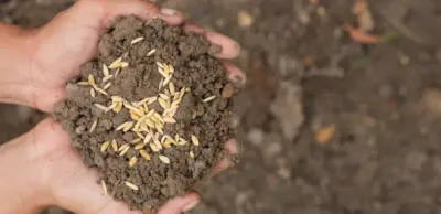 В Жамбылской области оштрафовали сельхозпредпринимателя на 1,6 млн тенге