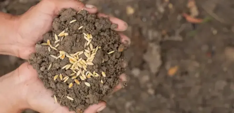 В Жамбылской области оштрафовали сельхозпредпринимателя на 1,6 млн тенге