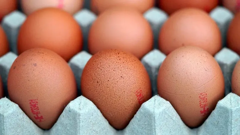 продовольственные товары