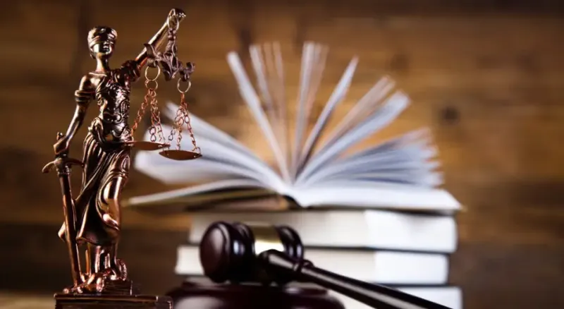 судебная система развитие