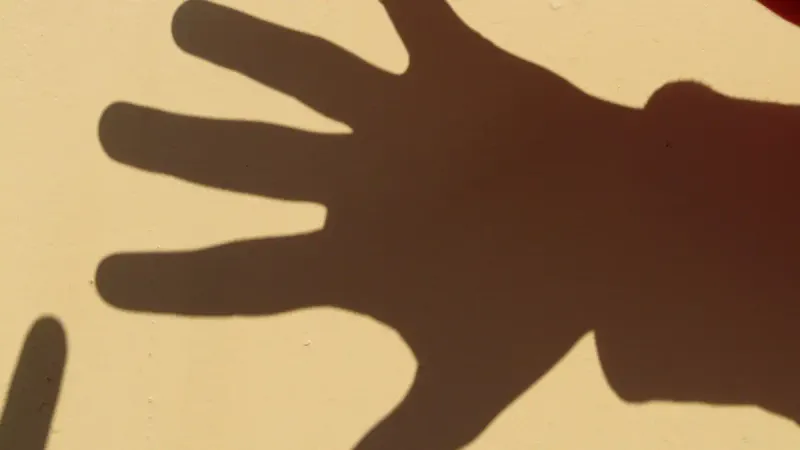 теневая экономика