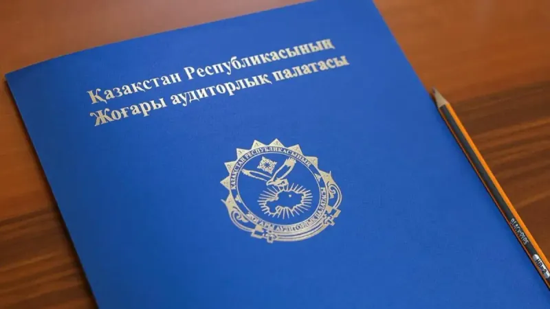 Высшая аудиторская палата