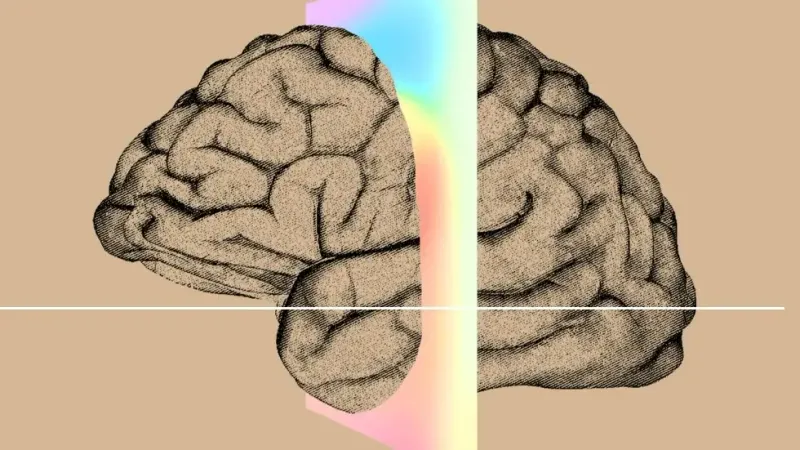 компания Neuralink