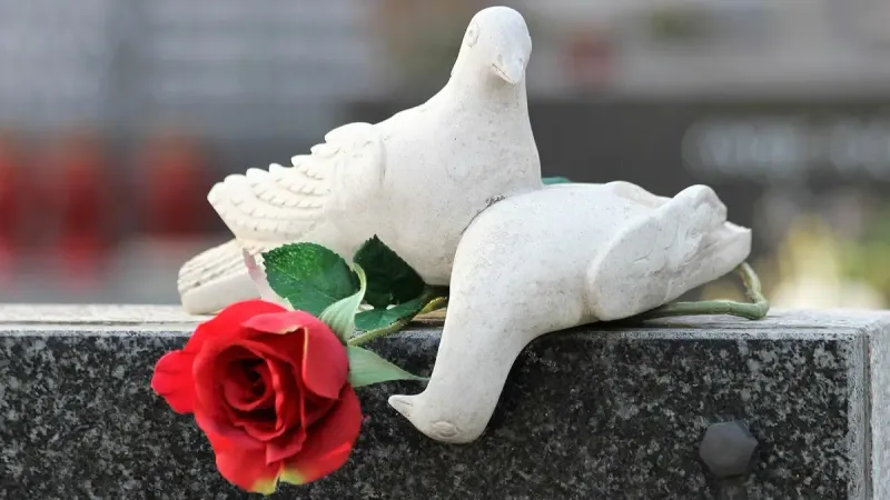 статистика смертности