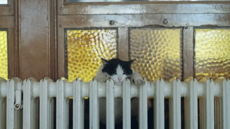 отопительный сезон