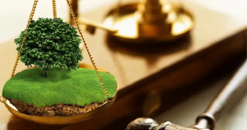 Дерево упало на автомобиль