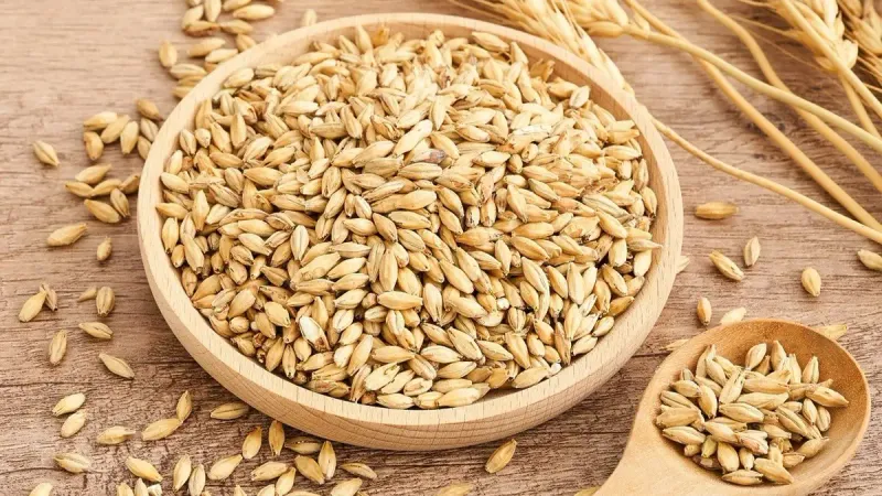 экспорт зерновых