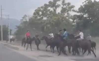 незаконный кокпар