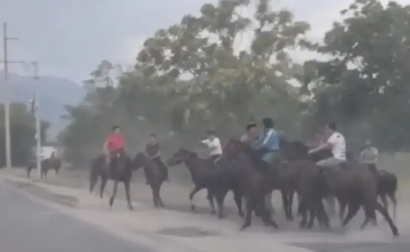 незаконный кокпар