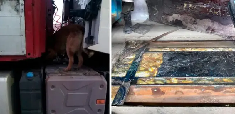 КНБ пресек попытки провоза крупных партий наркотиков