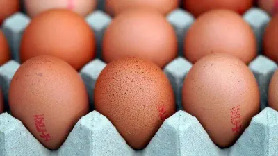 запрет на ввоз яиц в Казахстан