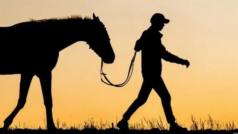 кража лошади Казахстан