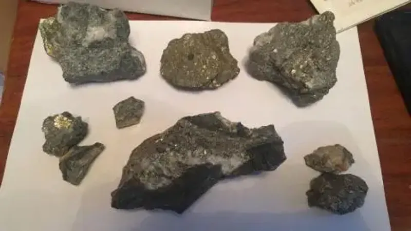 Черных старателей задержали в Абайской области