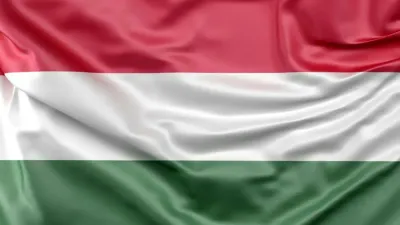 государственный флаг