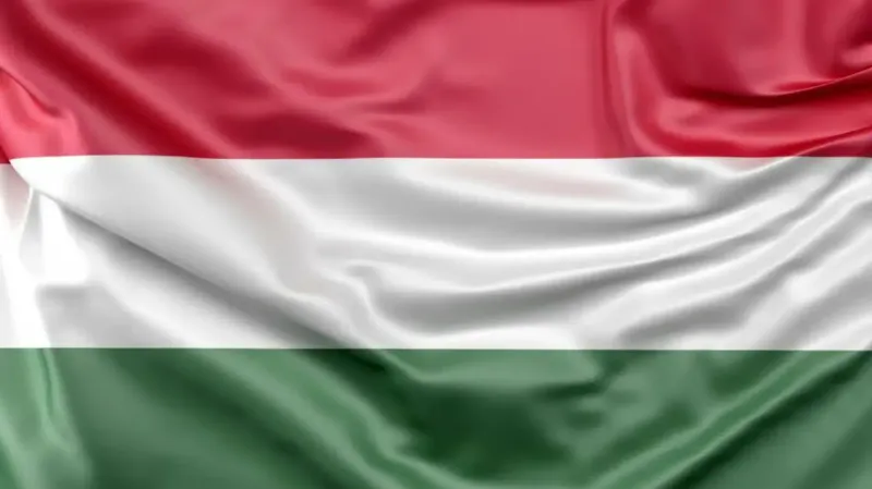 государственный флаг