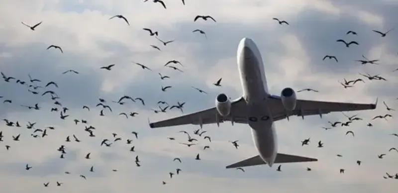 Прокуроры обратили внимание на безопасность полетов