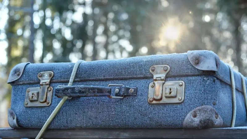 кандасы статистика