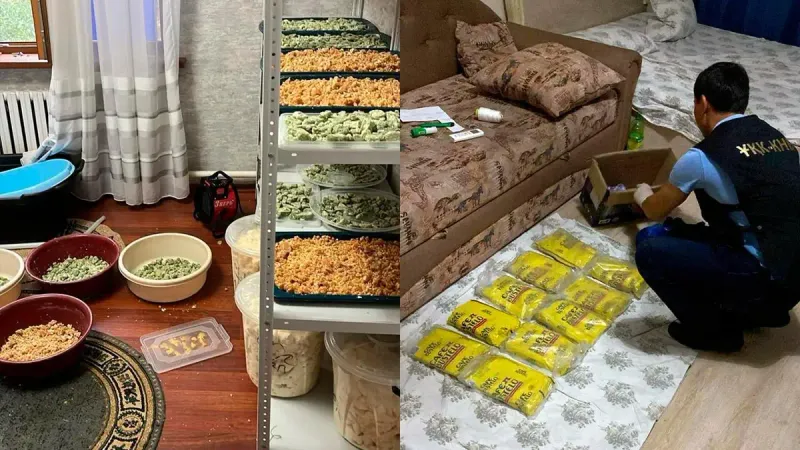 изготовление наркотиков