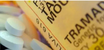 МВД внесло трамадол в список контролируемых средств и прекурсоров