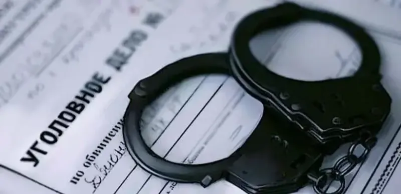 В Петропавловске школьника с топором арестовали на 2 месяца