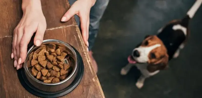 Относится ли к продтоварам корм для животных