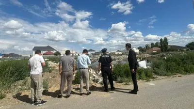 экологические нарушения