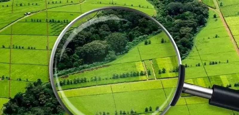 земельный кодекс анализ