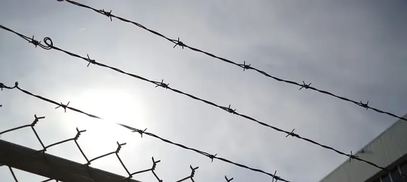 Запрещенку пытались передать в ВКО