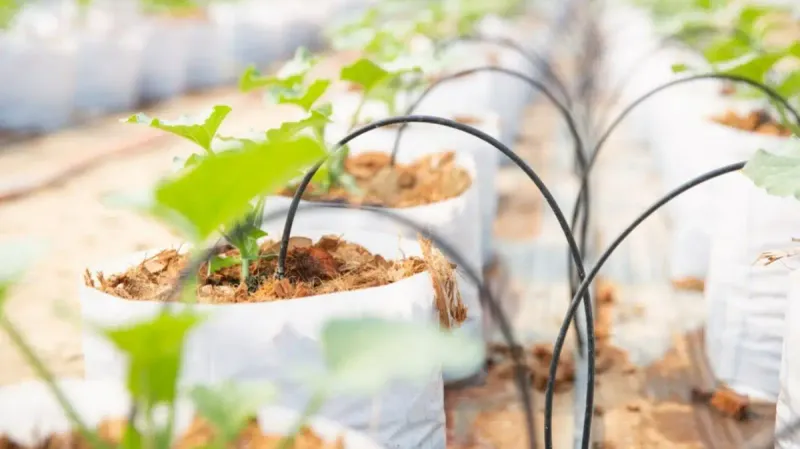 водная инфраструктура